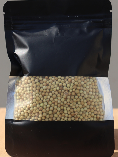 Coriander Seeds